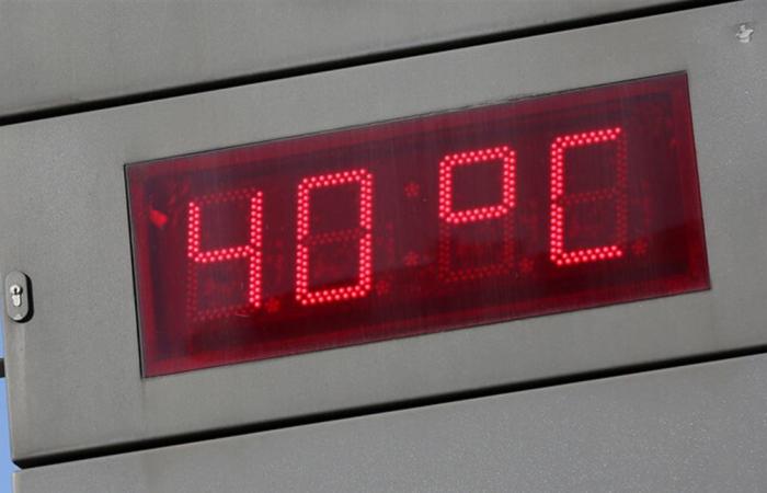 بسبب الحر والجفاف.. دولة أوروبية تواجه خطر نقص حاد في الغذاء!