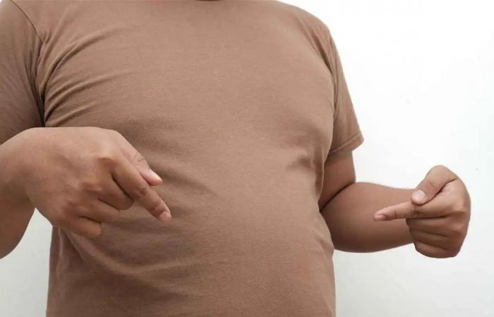 الأفوكادو والشوفان في المقدمة.. هذا ما يذيب دهون الأمعاء