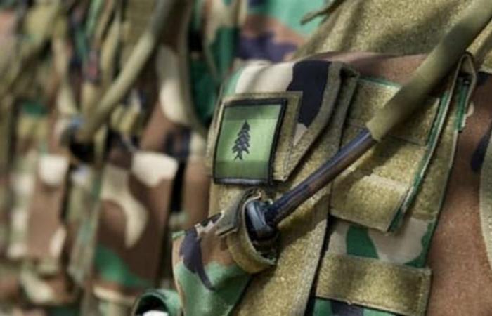 الجيش يداهم منزلاً شمال بعلبك ويوقف مواطناً