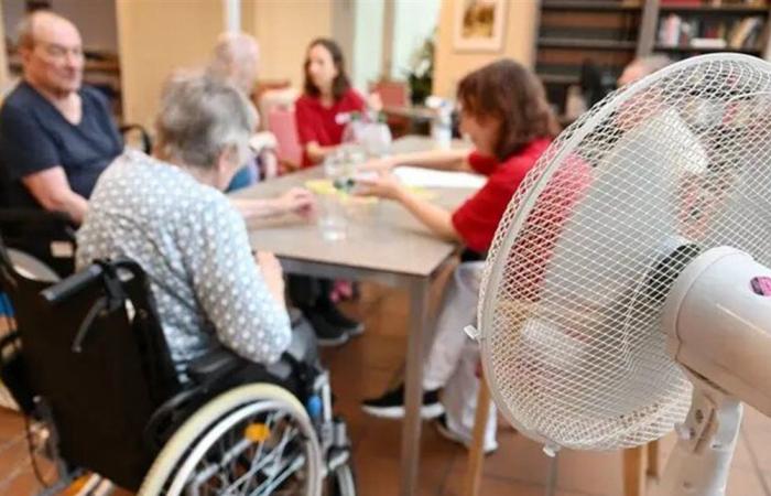 حصيلة قياسية.. إليكم عدد الوفيات جراء موجات الحر في ألمانيا هذا الصيف