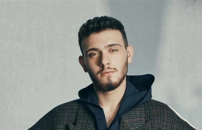 بالفيديو.. سقوط معجبة يوقف حفل الشامي في هولندا