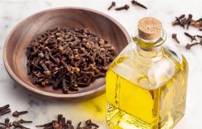 عند شرب ماء القرنفل.. ماذا يحدث للمعدة؟