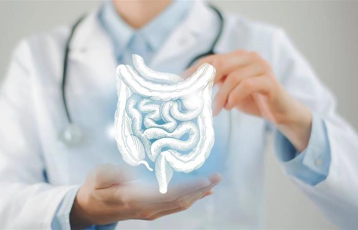 مرضٌ قد يختبئ في الأمعاء بلا أعراض.. دراسة تكشف ما يحدث