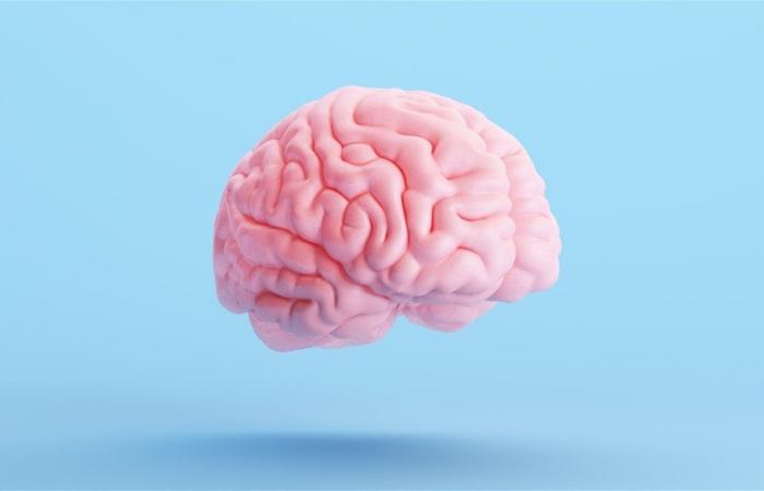 خبراء يحذرون من 7 عادات يومية قد تؤثر في صحة الدماغ والتركيز والذاكرة