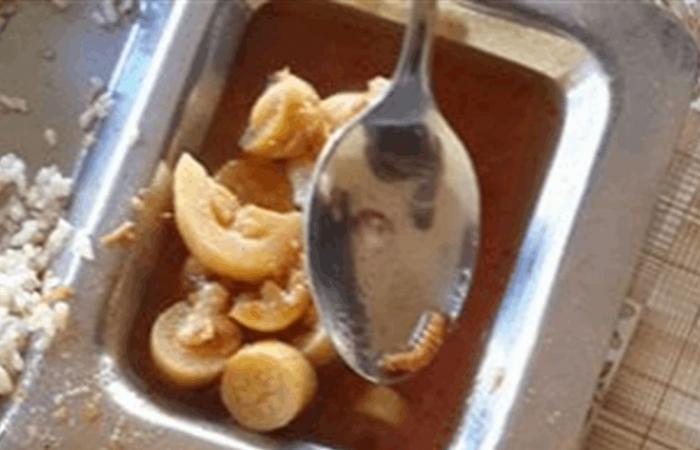 وفاء مكي تعثر على ديدان داخل وجبة طلبتها لها ولابنها
