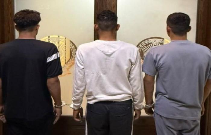 أمن الدولة يوقف عصابة متهمة بعمليات سرقة في مناطق لبنانية عدة