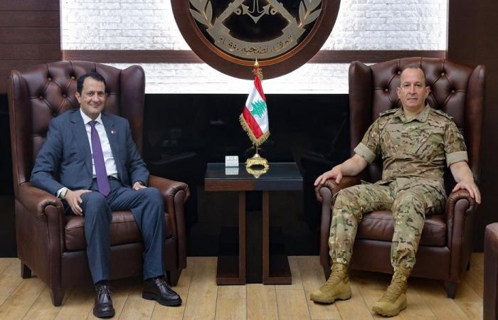 هيكل يبحث مع السفير القطري مستجدات لبنان والمنطقة