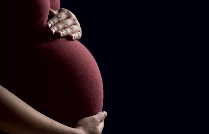 دراسة على الفئران تكشف دائرة دماغية مرتبطة باشتهاء الطعام أثناء الحمل