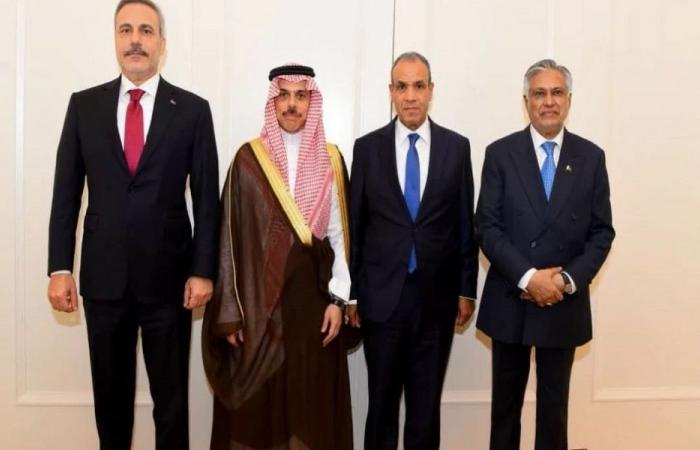بيان مصري سعودي باكستاني تركي يشدد على سلامة الملاحة ودعم استقرار المنطقة