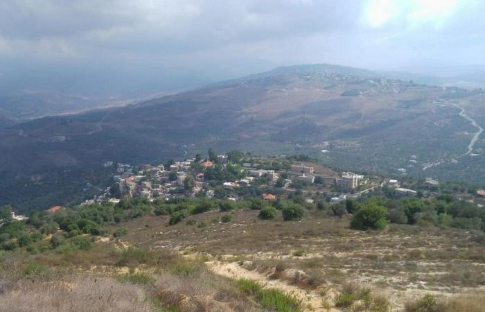 بلدية دير ميماس: لا تتوجّهوا إلى حقول الزيتون!