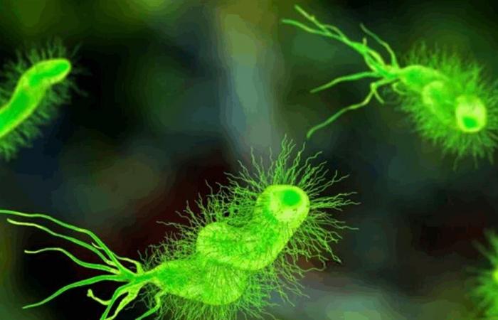 5 أنواع من العدوى قد تقود إلى السرطان.. ما هي؟