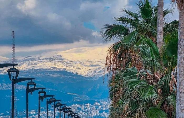الطقس.. استراحة قصيرة قبل منخفض جديد