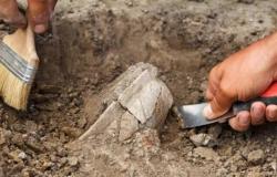 في حديقة منزل أميركي.. اكتشاف أثري روماني نادر