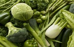 أطعمة طبيعية تعزز جهاز المناعة وتحمي من الأمراض