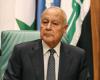 أبو الغيط: لإجراء إصلاحات يحتاجها لبنان