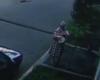 سيدة روسية تنقذ طفلا بعد سقوطه من نافذة شقة -شاهد