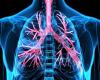 ما علاقة ضيق التنفس بالجرثومة في المعدة؟