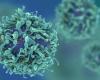 علاج واعد لمرضى السرطان.. فيروس يصيب الخلايا ويدمرها