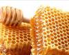 العسل الطبيعي... اليكم بعض المعلومات حوله