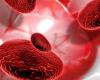 فصيلة دم نادرة يمكن أن تنقذ الأطفال الحديثي الولادة من خطر قاتل!