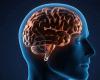بـ 5 دقائق يومياً فقط.. هكذا يمكن تعزيز صحة الدماغ وتحسين الذاكرة