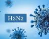 إنفلونزا H3N2 نحو الذروة … والأولوية للتلقيح