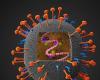 أكثر فتكاً من "كورونا"... فيروس لا شفاء منه ينتشر وهذا عدد المصابين به