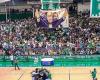 بالصورة.. إصابة لاعب الحكمة أمام الأنصار تكشف مدة غيابه
