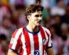 بعد هجوم الجماهير على ألفاريز.. هل يتراجع أتلتيكو مدريد عن عناده؟